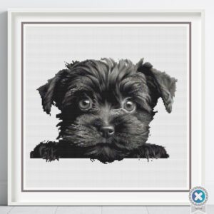 Affenpinscher Dog Cross Stitch Pattern