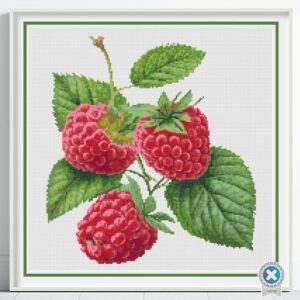 Raspberries Cross Stitch Pattern Realistic Raspberry Fruit Botanical Embroidery Nature-Inspired DIY Handmade Kitchen Decor Berry Design Art