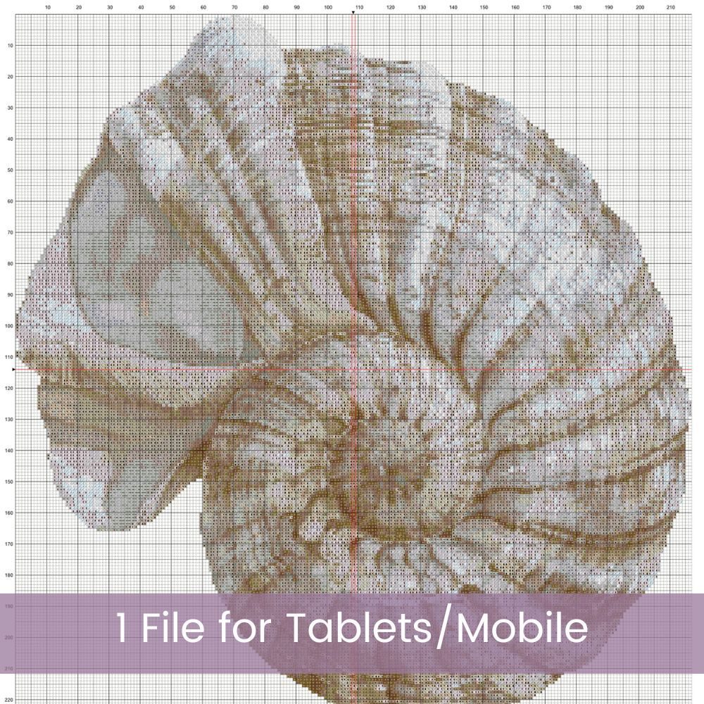 Boho Seashell Counted Cross Stitch Pattern, Neutral Ocean Embroidery, Coastal Sealife, Floss Conversions