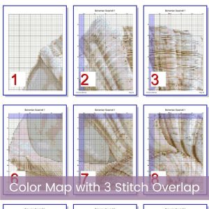 Boho Seashell Counted Cross Stitch Pattern, Neutral Ocean Embroidery, Coastal Sealife, Floss Conversions