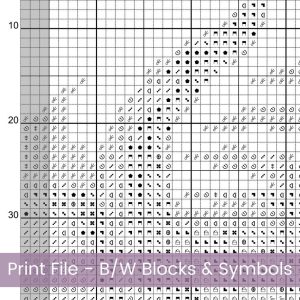 Dragon Cross Stitch Pattern, Mythical Fantasy Embroidery Home Decor Art, Instant Download, Floss Conversions