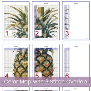 Pineapple Cross Stitch Pattern, Tropical Fruit Kitchen Embroidery Decor PDF, Instant Download, Floss Conversions