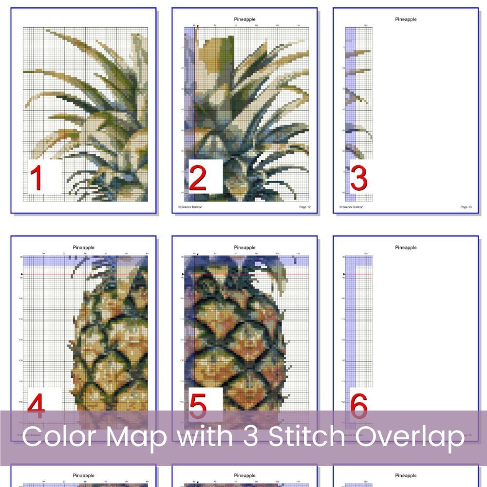 Pineapple Cross Stitch Pattern, Tropical Fruit Kitchen Embroidery Decor PDF, Instant Download, Floss Conversions