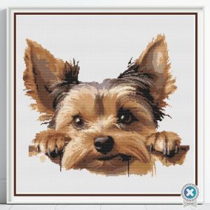 Yorkshire Terrier Cross Stitch Pattern, Yorkie Embroidery PDF, Instant Download, Pattern Keeper, Floss Conversion